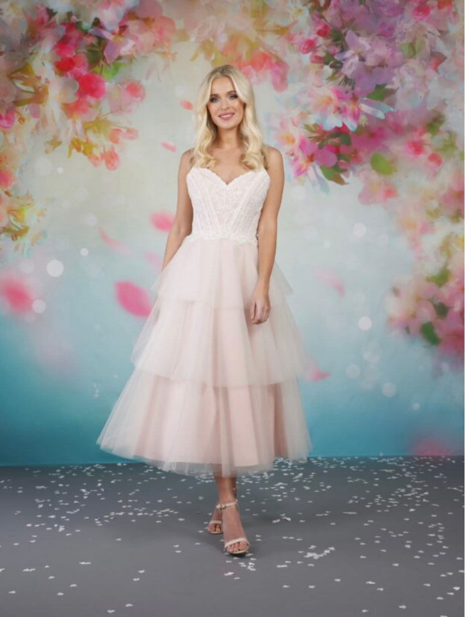 EB-Penny tea-length blush dress