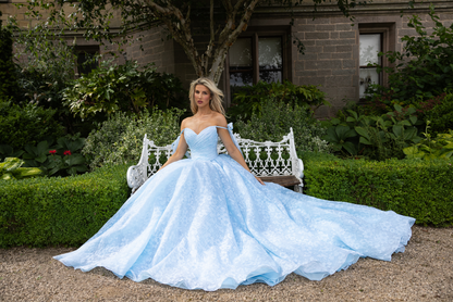 Rosalie RB4239 – Floral Organza Ballgown Wedding Dress with Ribbon Tie Sleeves