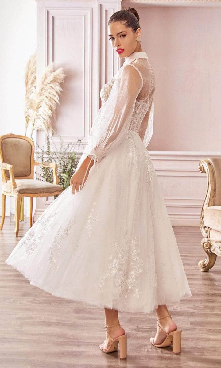 Back of the The Lucinda long sleeve, high colour, tea length wedding gown with modern sheer boned bodice and full tulle tea length skirt al-lucinda